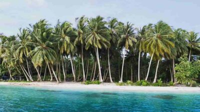 IMG 20230127 WA0004 11zon