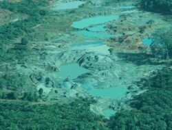 Polda Aceh Larang Praktik Illegal Logging di Hutan Lindung