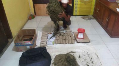 Miliki Narkotika Jenis Ganja, Warga Langsa Ditangkap Polisi