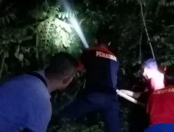 Setengah Hektar Lahan di Aceh Jaya Terbakar, Ini Kata Kepala BPBK