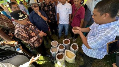 Peternak Sapi Ikut Pelatihan, Kadisnak: Ekonomi di Aceh Jaya Segera Terwujud