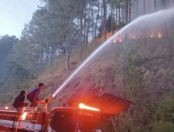 Lima Hektar Lahan Pinus Terbakar di Aceh Tengah, BMKG: Tetap Waspada