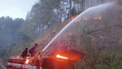 Lima Hektar Lahan Pinus Terbakar di Aceh Tengah, BMKG: Tetap Waspada