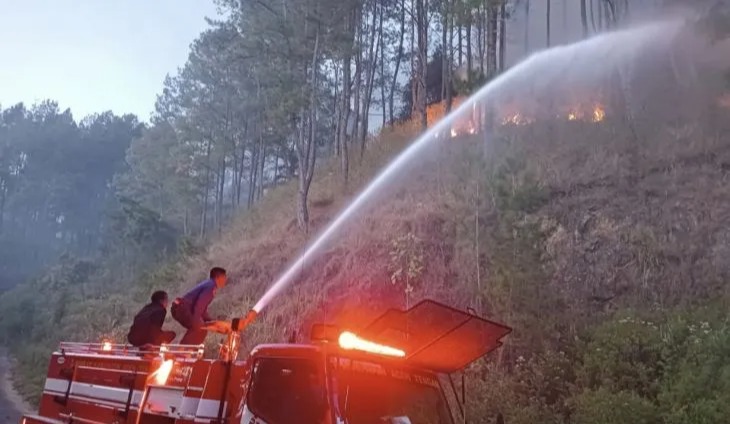 Lima Hektar Lahan Pinus Terbakar di Aceh Tengah, BMKG: Tetap Waspada 1 lahan