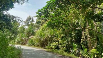 IMG 20230722 124102 11zon