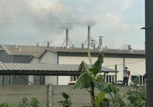 Industri Porang PMA China