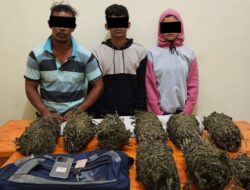 Reserse Narkoba Polres Lhokseumawe Bekuk Pengedar Ganja