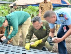 Tekan Angka Inflasi, Pemko Sabang Distribusi 2.000 kg Bibit Bawang Merah