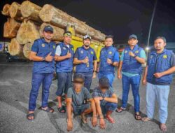 Dua Pemuda dan Satu Unit Dump Truk Diduga Angkut 10 Log Kayu Ilegal Diamankan