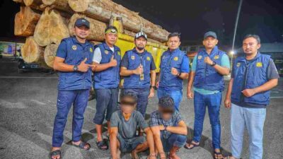 illegal loging Polda Aceh