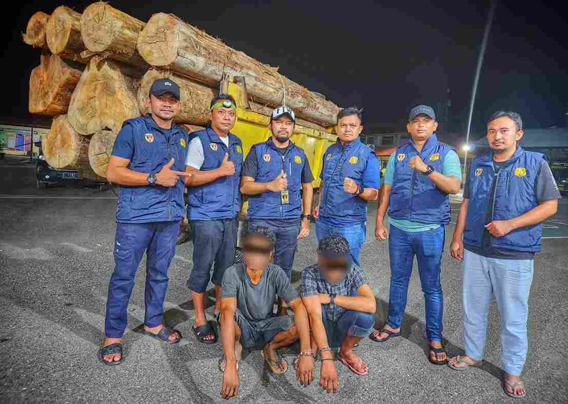 Dua Pemuda dan Satu Unit Dump Truk Diduga Angkut 10 Log Kayu Ilegal Diamankan 1 illegal loging Polda Aceh