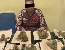 Polisi Sita Sembilan Bungkus Ganja Siap Edar di Aceh Barat