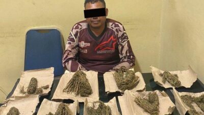 Polisi Sita Sembilan Bungkus Ganja Siap Edar di Aceh Barat