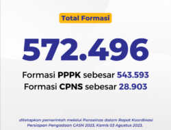 CPNS Dibuka Bulan September, PPPK Jadi Kebutuhan Prioritas Utama