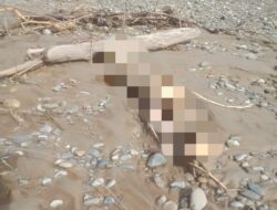 Warga Diheboh Penemuan Mayat Tanpa Identitas di Sungai Alas