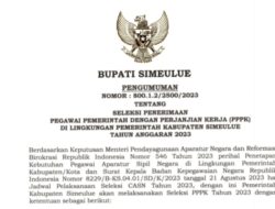 Pemerintah Kabupaten Simeulue Umumkan Penerimaan PPPK Tahun 2023