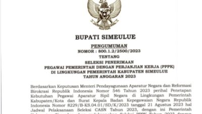 pengumuman-penerimaan-pppk