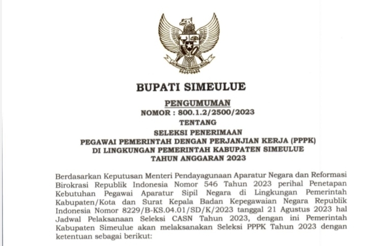 pengumuman-penerimaan-pppk