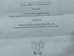 Kebun Kelapa Sawit Milik PDKS Dipihak Ketigakan