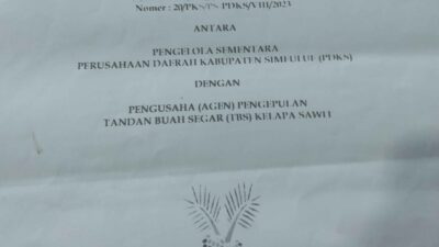 Kebun Kelapa Sawit Milik PDKS Dipihak Ketigakan