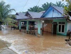 Puluhan Rumah di Tiga Kecamatan Aceh Singkil Terendam Banjir