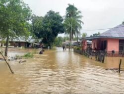 Tujuh Gampong di Aceh Timur Terendam Banjir