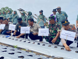 Petani Lhokseumawe Tanam 10 Hektare Bawang Merah