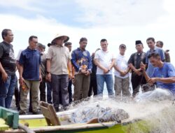 Sabang Marine Festival Ditutup dengan Tradisi Kenduri Laot