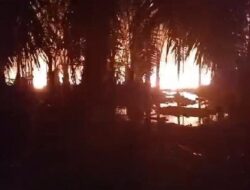 Sumur Minyak Ilegal di Aceh Timur Meledak