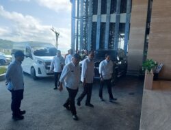 Presiden Kumpulkan Menteri dan Kepala Daerah di IKN
