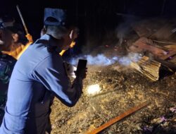 Tiga Bersaudara Tewas Dalam Kebakaran Rumah di Aceh Utara
