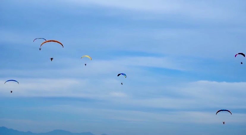 20240901 image 123650291