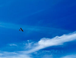 57 Atlet Perebutkan 14 Medali Emas di Cabor Aerosport Terbang Layang