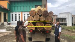 20241122 img 20241122 wa0026