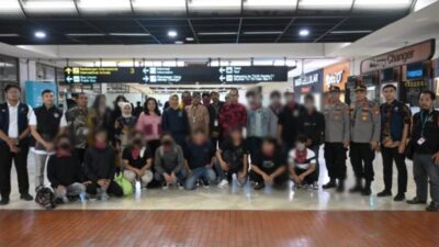 20241130 whatsapp image 2024 11 30 at 11 19 16 1