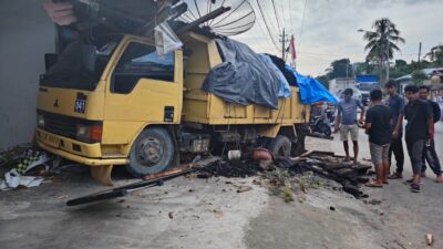 20241209 20220813 img 20220813 wa0021