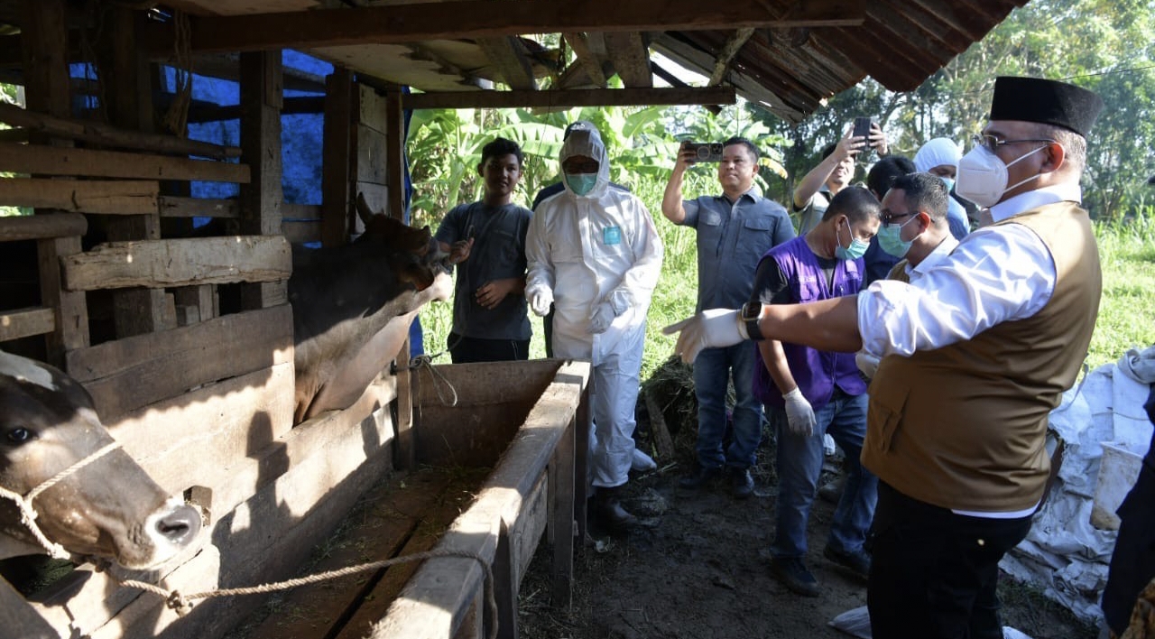 20250109 img 20250109 121458