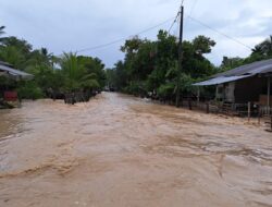 300 Kepala Keluarga Terdampak Banjir di Aceh Timur  