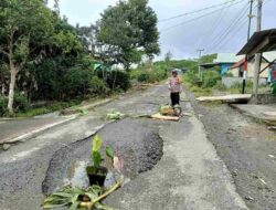 Tak Kunjung Diperbaiki, Warga Bener Meriah Tanam Pohon Pisang di Jalan Rusak
