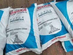 Harga Pupuk Subsidi di Simeulue Diduga Dijual di Atas HET