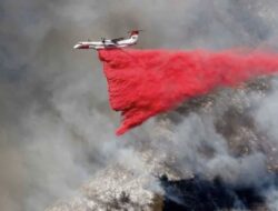 13 Orang Tewas akibat Kebakaran Hutan Los Angeles