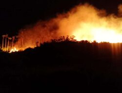 Dua Hektar Kebun Kopi di Bener Meriah Terbakar