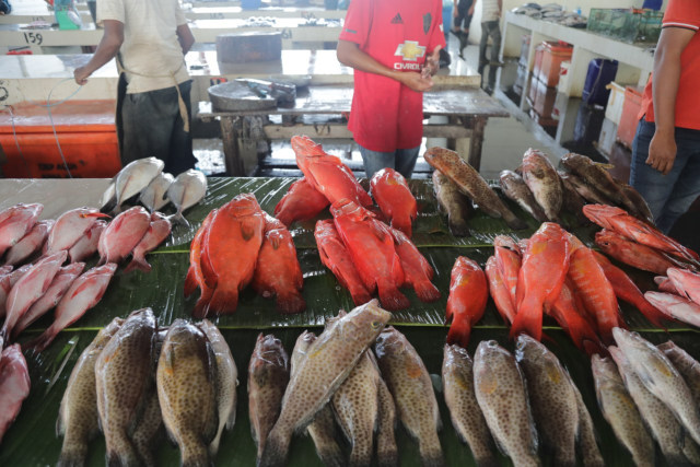 ikan
